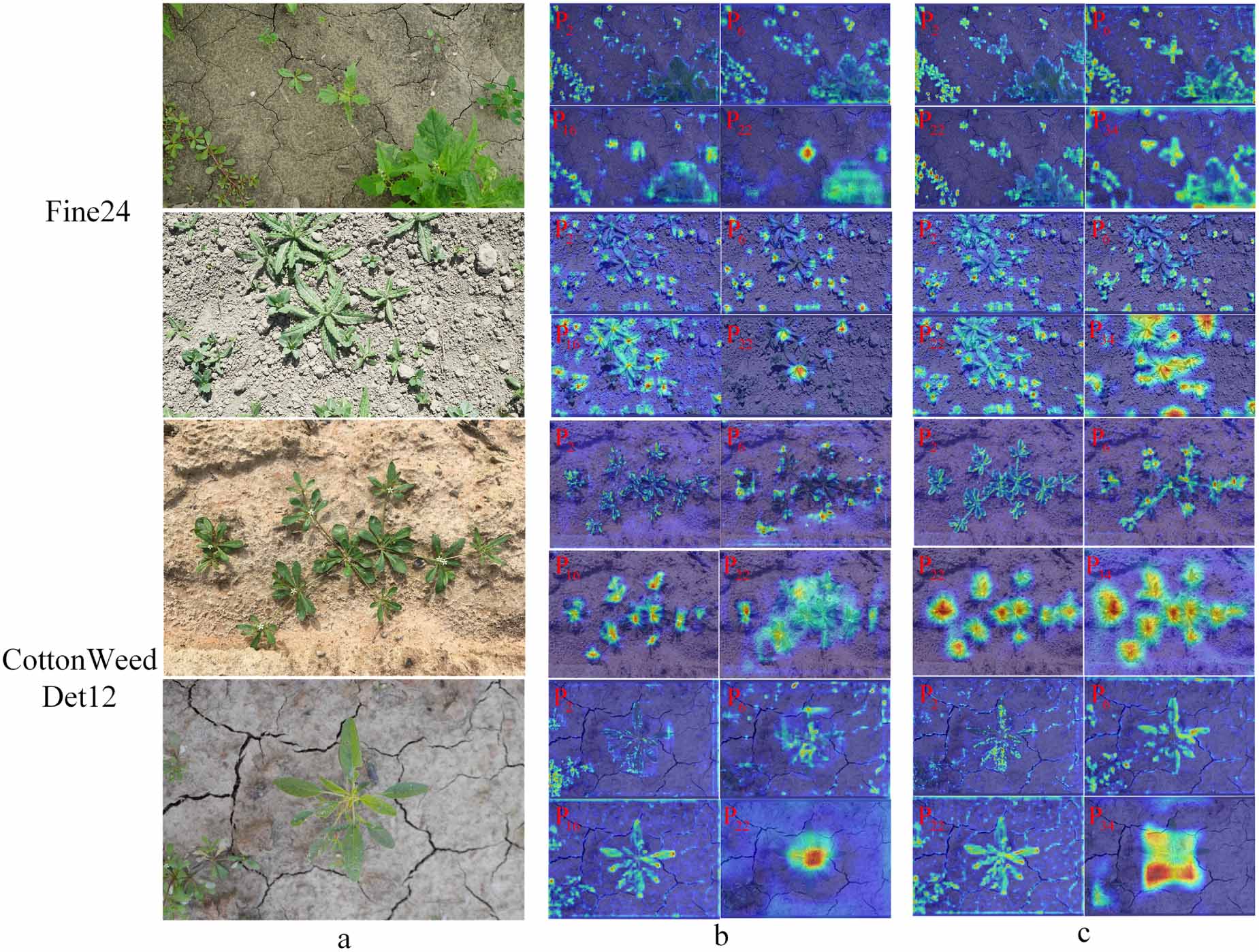 YOLO-CESn: an efficient field weed detection model based on an improved ...