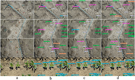 YOLO-CESn: an efficient field weed detection model based on an improved ...