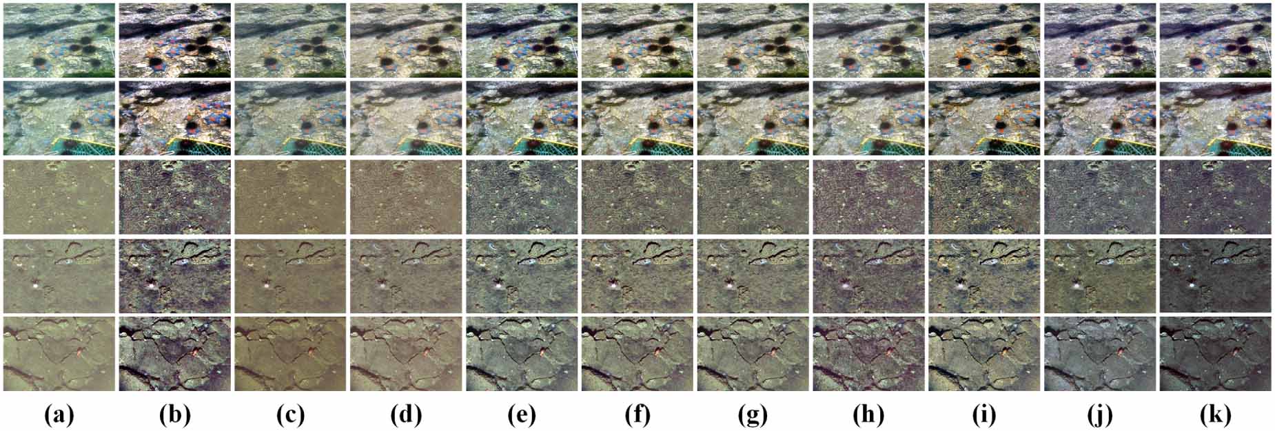 PECF-Net: multi-path underwater image enhancement network via multi ...