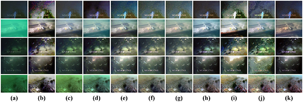 PECF-Net: multi-path underwater image enhancement network via multi ...