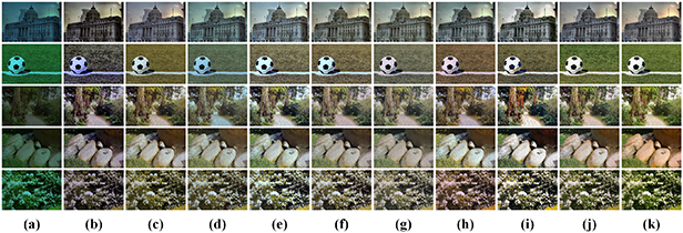 PECF-Net: multi-path underwater image enhancement network via multi ...