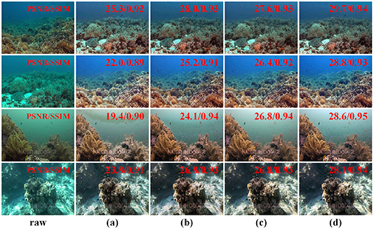 PECF-Net: multi-path underwater image enhancement network via multi ...