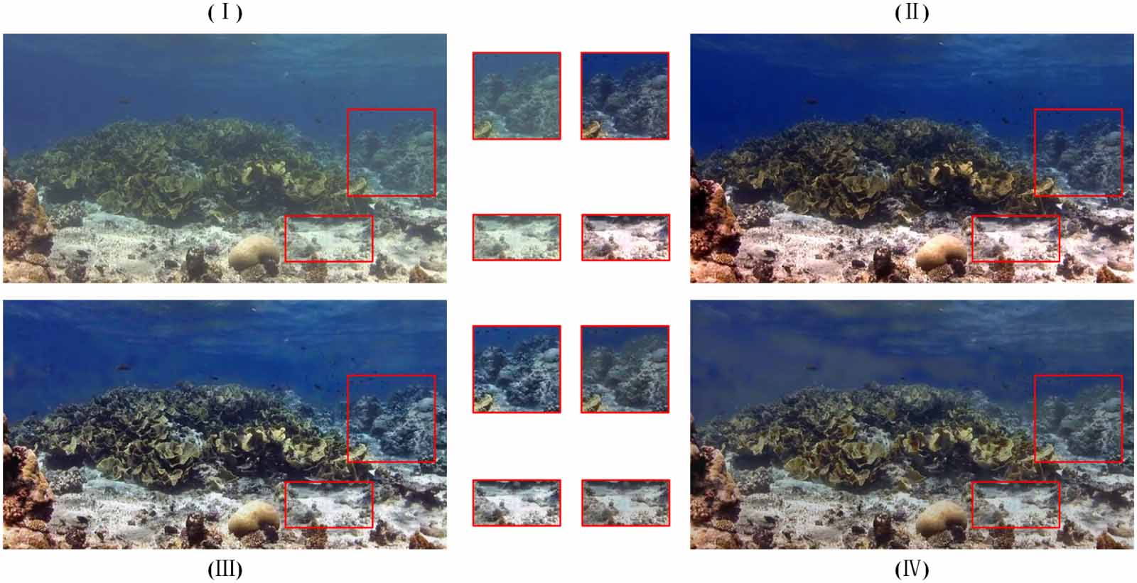 PECF-Net: multi-path underwater image enhancement network via multi ...