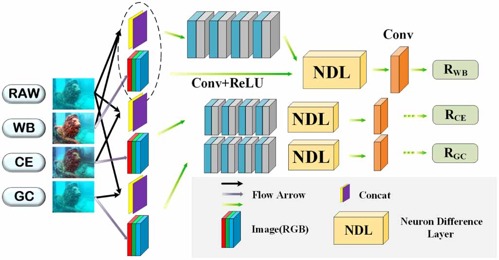 PECF-Net: multi-path underwater image enhancement network via multi ...
