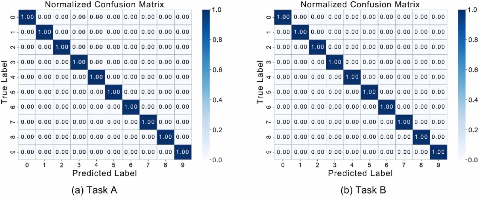 A dual-branch hybrid transformer framework for multimodal contrastive ...