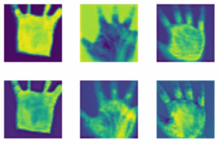The palmprint recognition method based on the SMA-ConvNeXt model ...
