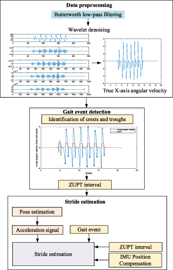 An improved stride length estimation method based on wavelet transform ...