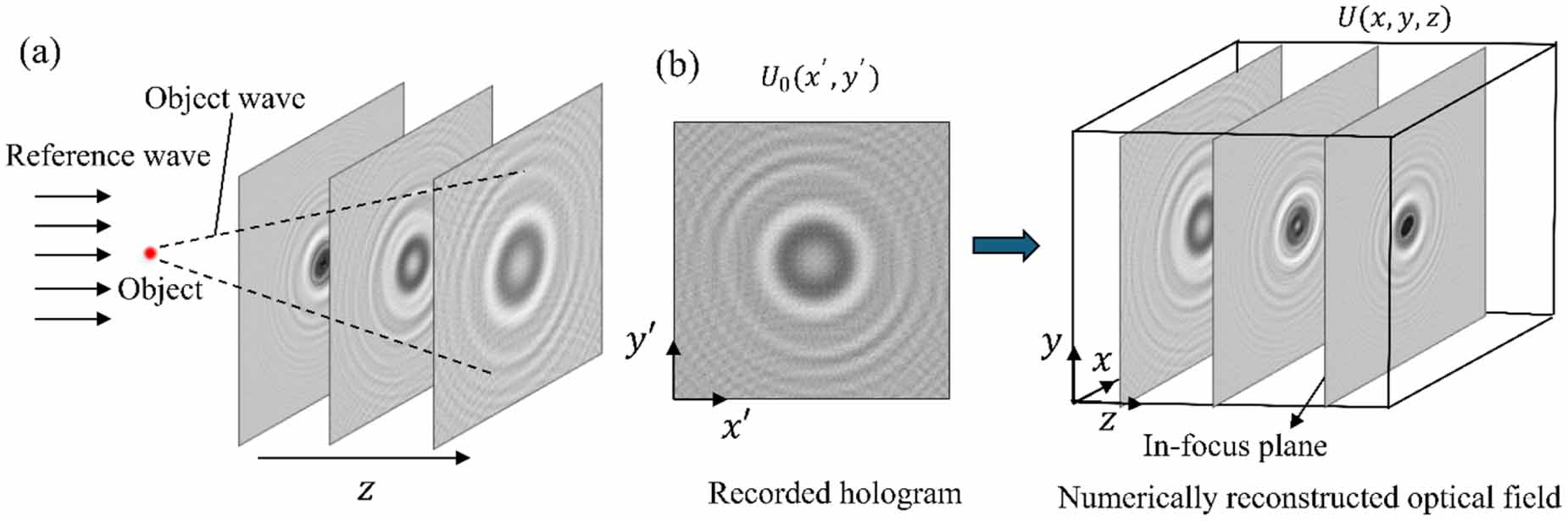 A review of 3D particle tracking and flow diagnostics using
