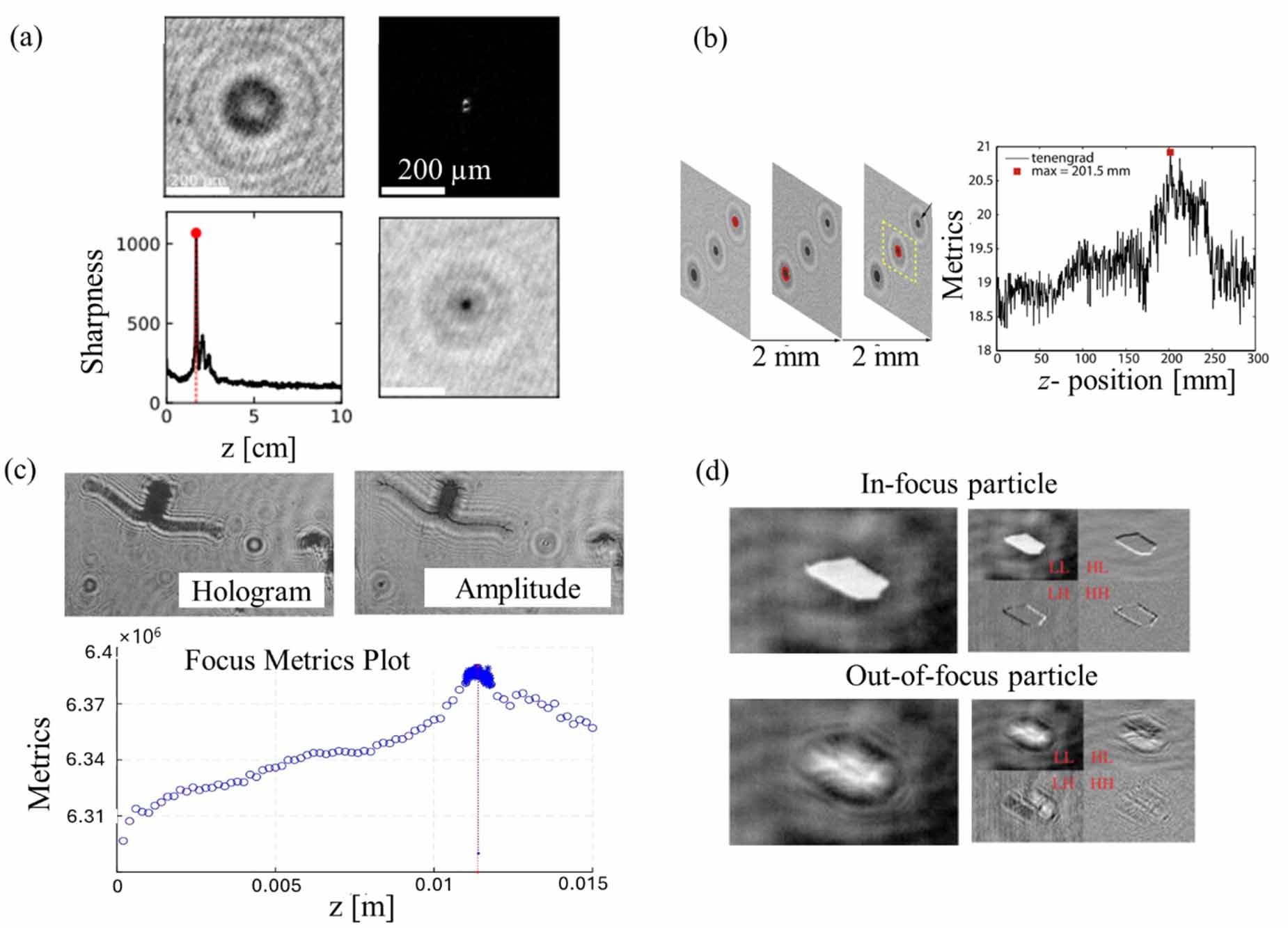 A review of 3D particle tracking and flow diagnostics using digital ...