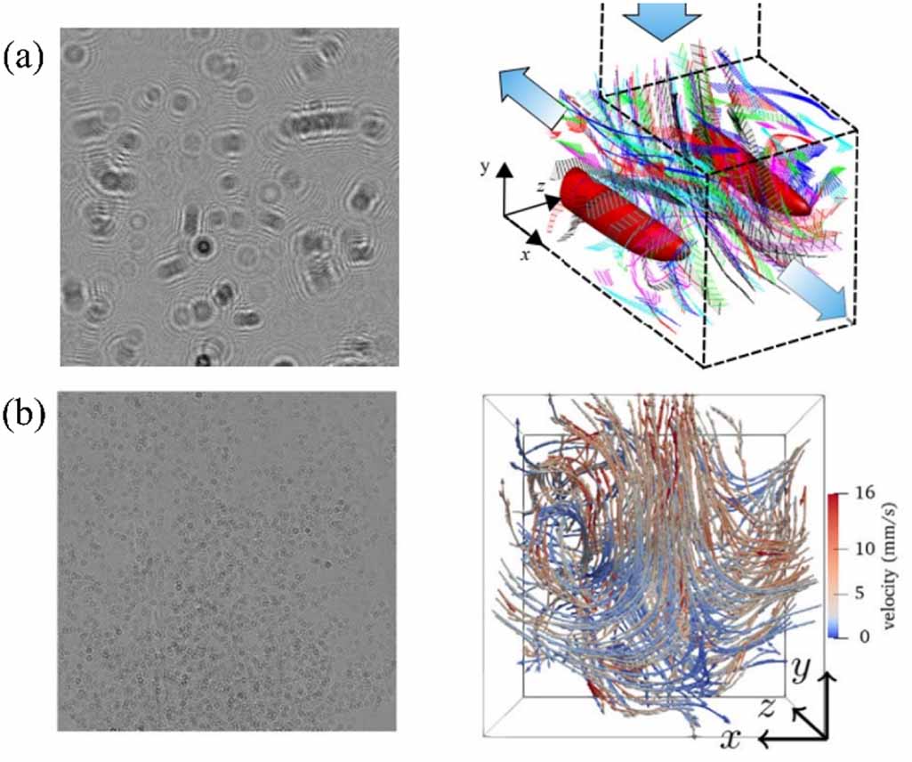 A review of 3D particle tracking and flow diagnostics using digital ...
