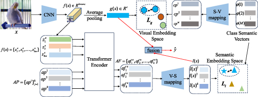 Zero-shot learning based on the fusion of global and local ...