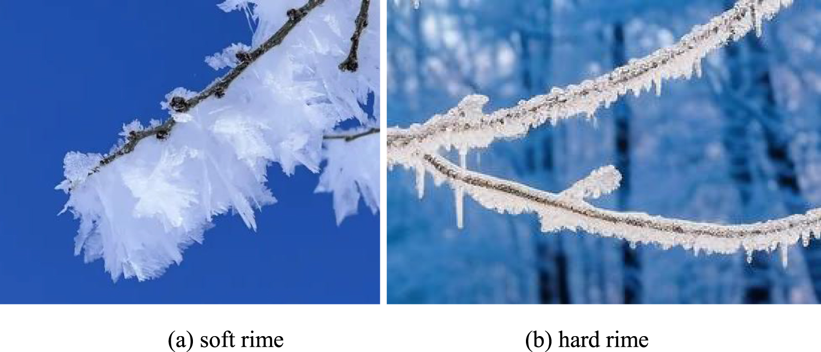 Rime Patterns A two-hidden-layer neural network based on the Rime optimization ...