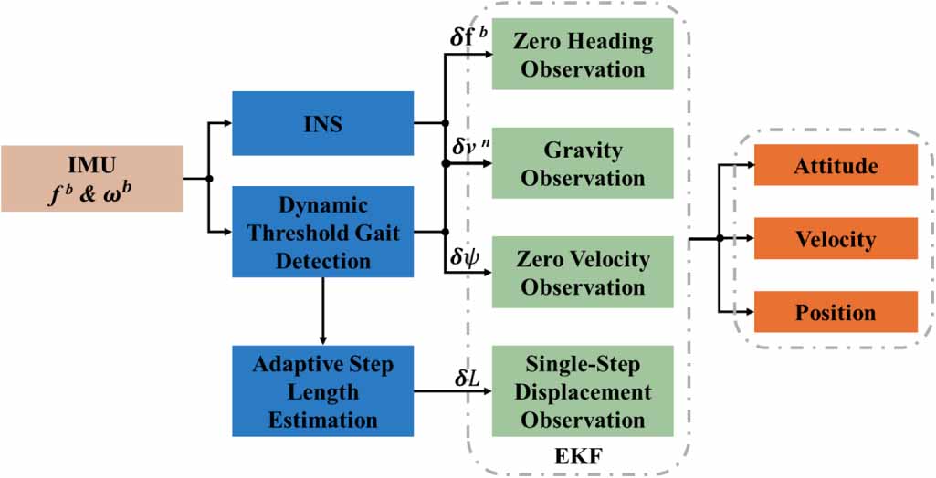Foot-mounted inertial navigation algorithm based on dynamic threshold ...