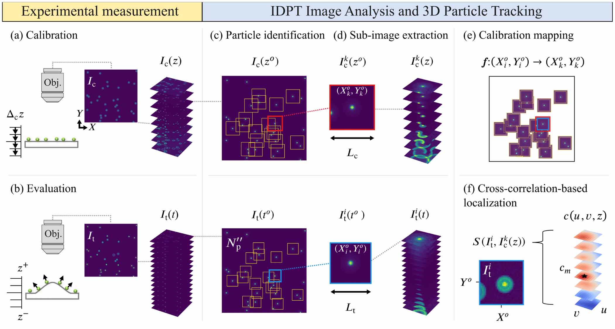 Individualized defocusing particle tracking for dynamic surface ...