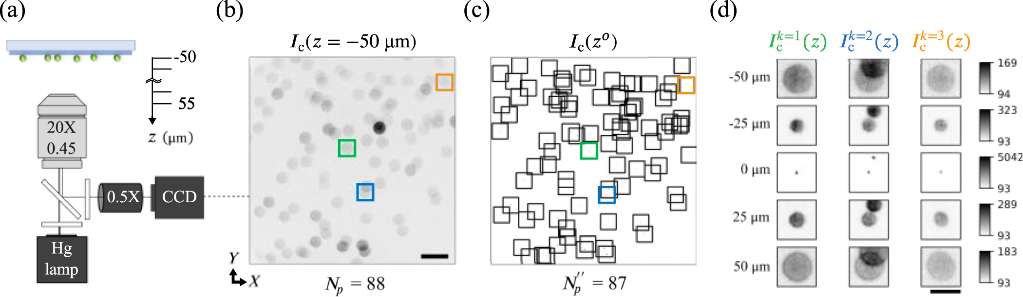 Individualized defocusing particle tracking for dynamic surface ...