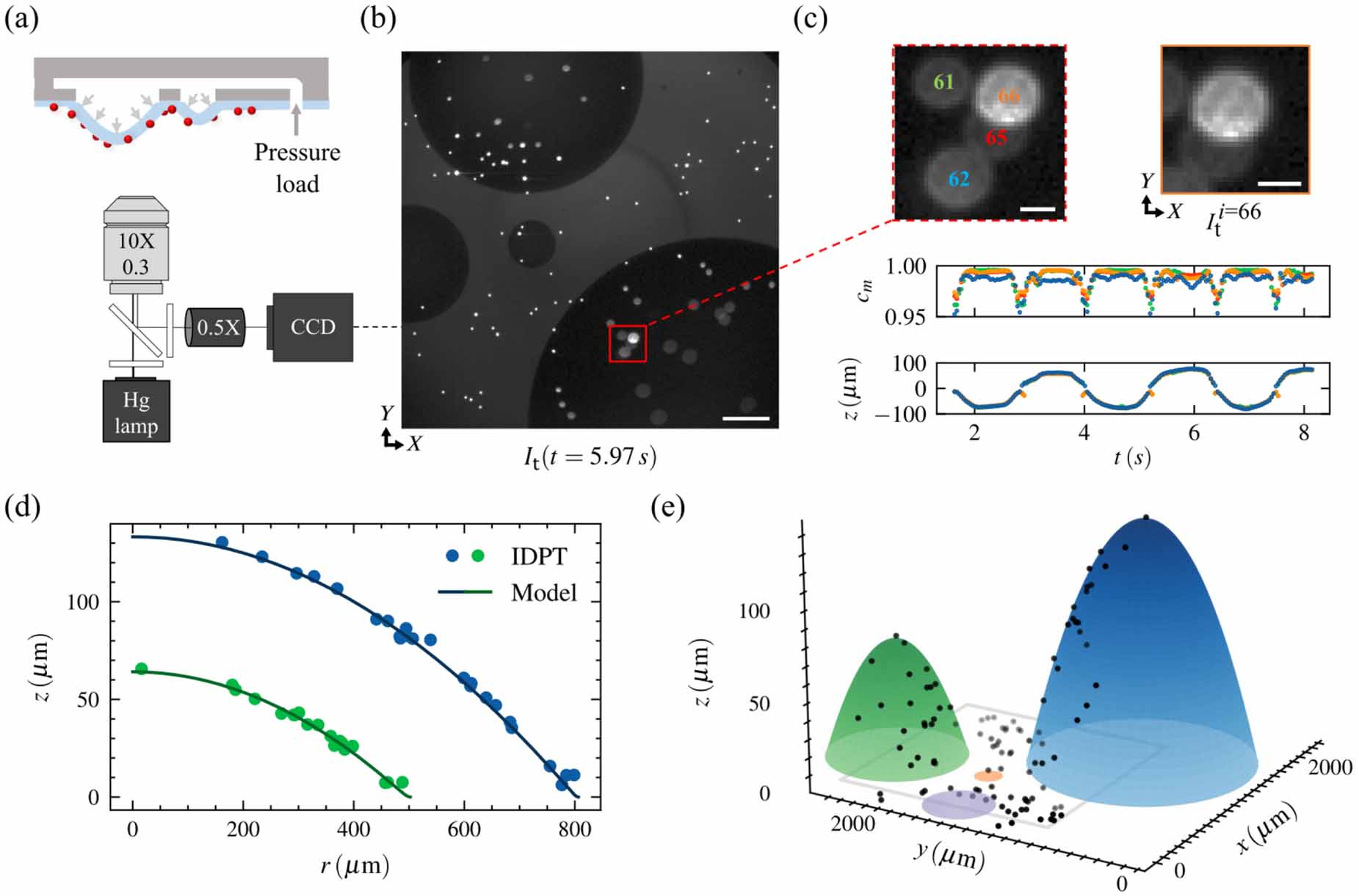 Individualized defocusing particle tracking for dynamic surface ...