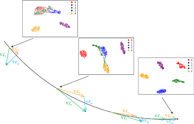 Domain-invariant feature learning based on a curvature-sensitive ...