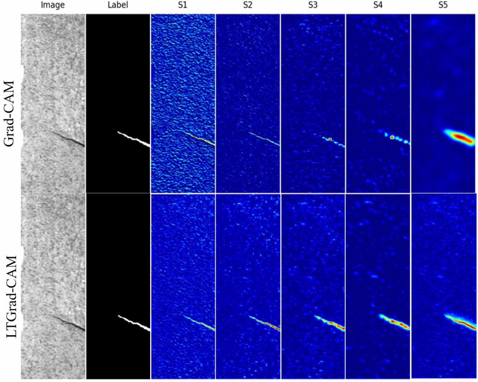Truncated and integrated class activation maps for weakly supervised ...
