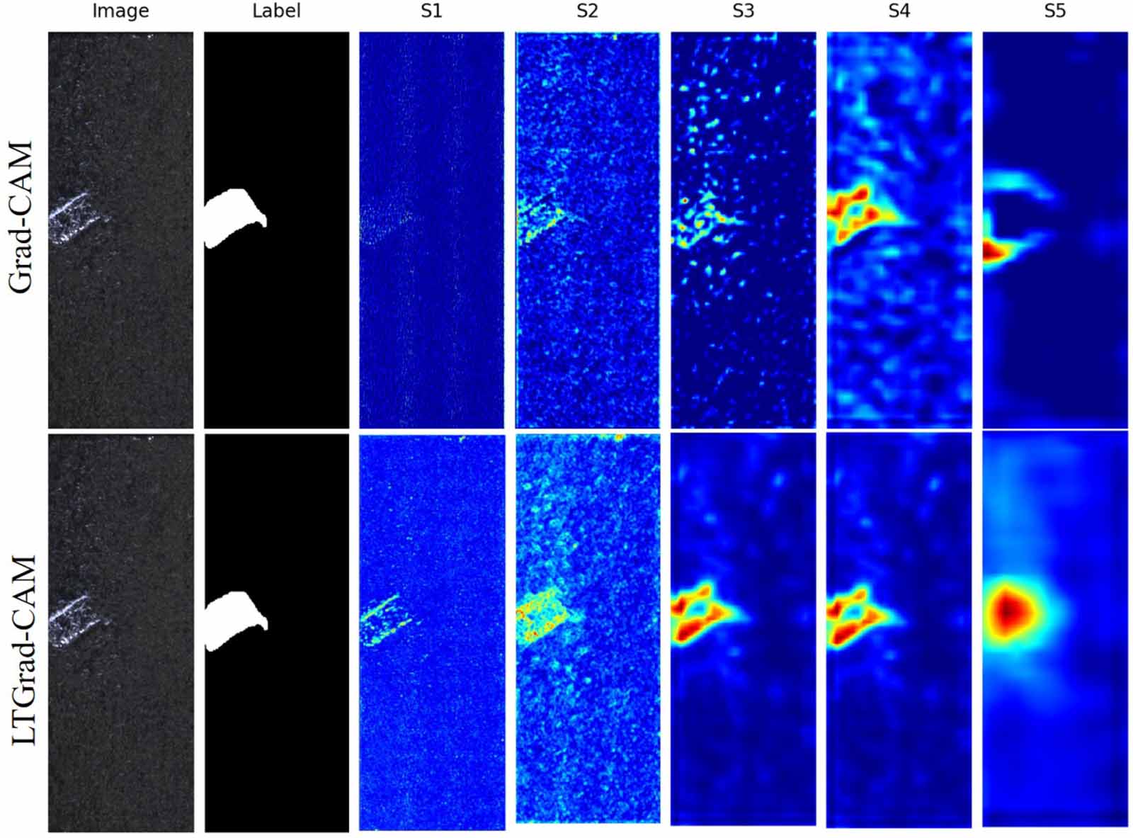Truncated and integrated class activation maps for weakly supervised ...