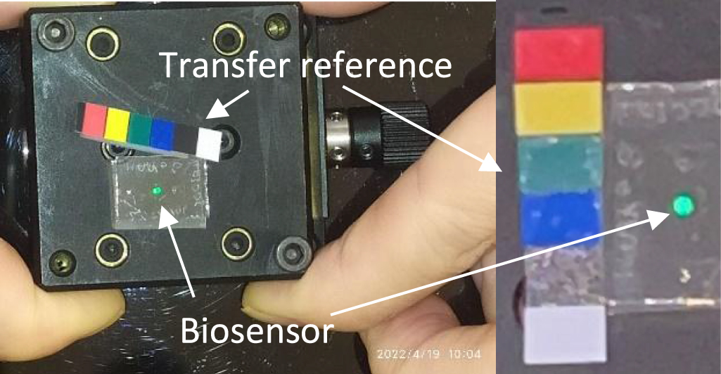 Colour metrology for colorimetric holographic biosensor application ...
