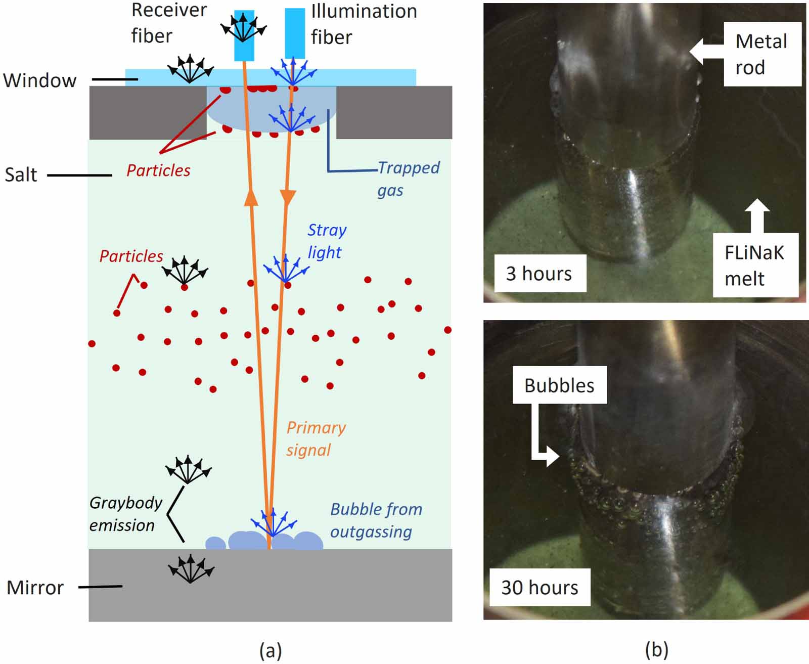 Development of an absorption spectroscopy probe for in situ monitoring ...