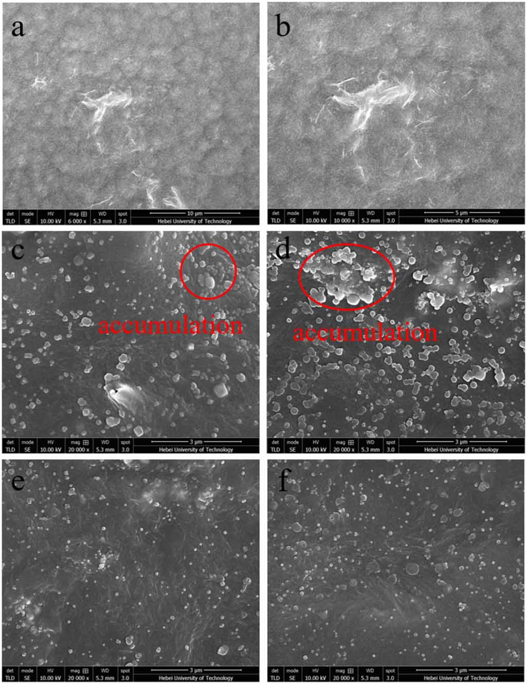 Flexible piezoelectric sensor based on PVP-modified BaTiO3/MXene/PVDF ...