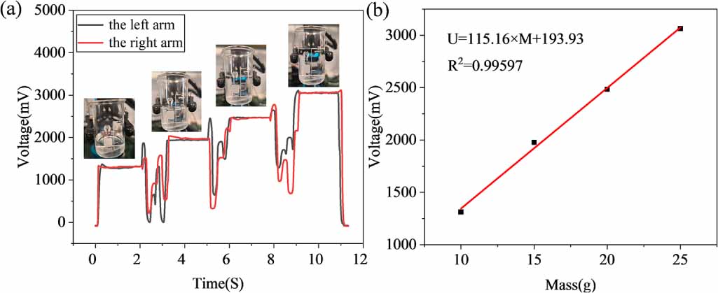 Flexible piezoelectric sensor based on PVP-modified BaTiO3/MXene/PVDF ...
