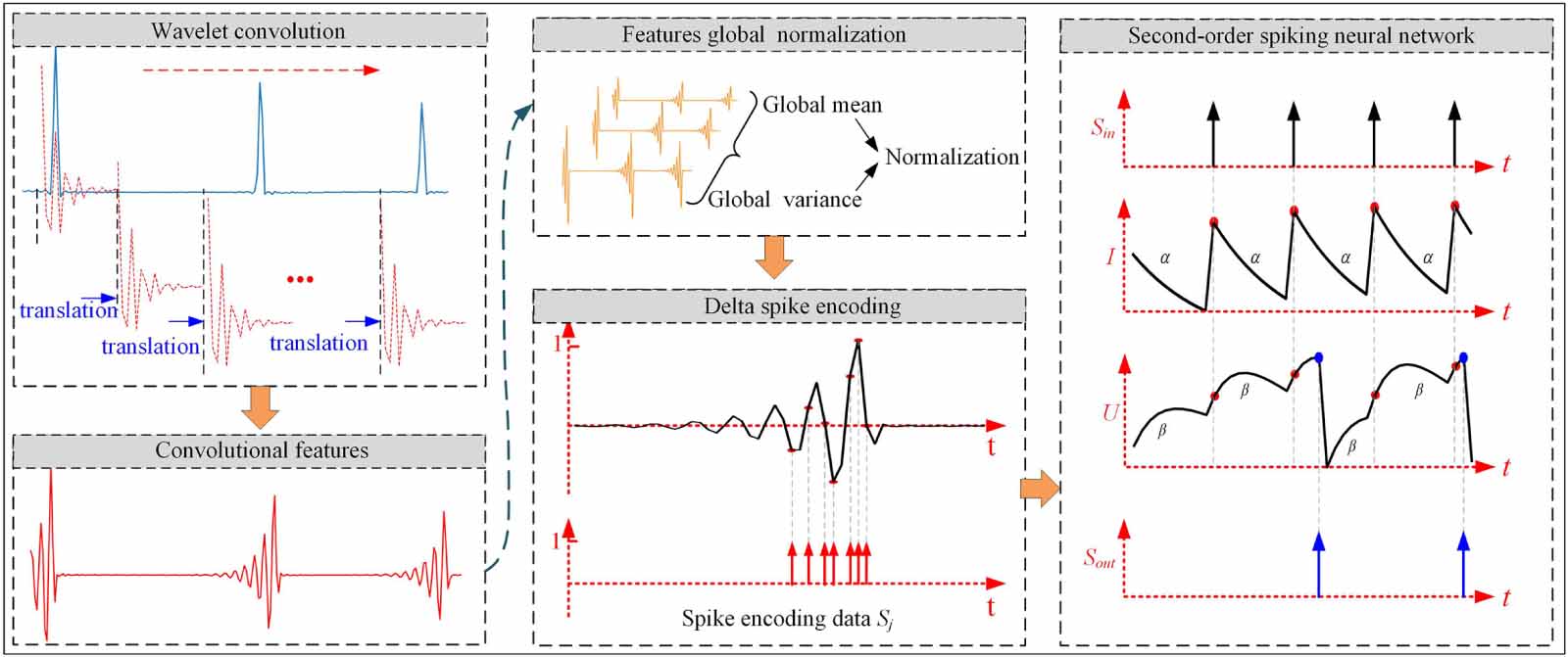 A novel physical modeling wavelet spiking neural network for local ...