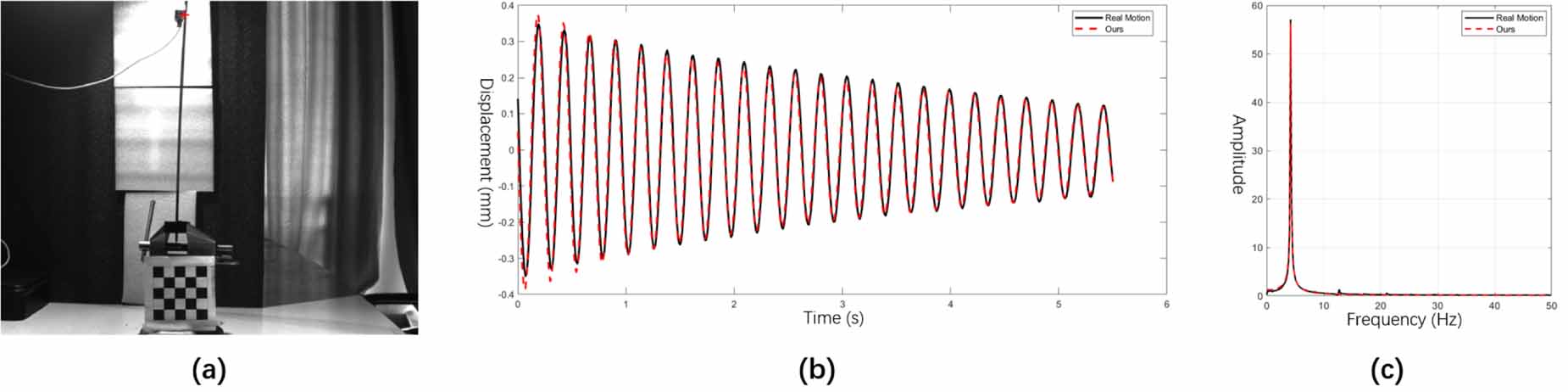Phase motion estimation method via multi-scale and multi-directional ...