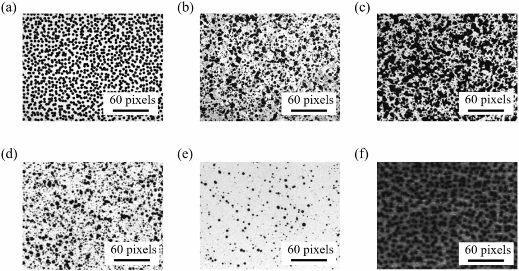 High-precision full-field measurement of dynamic shear rupture by ...
