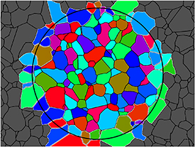 Grain size measurement based on a multi-supervised segmentation network ...