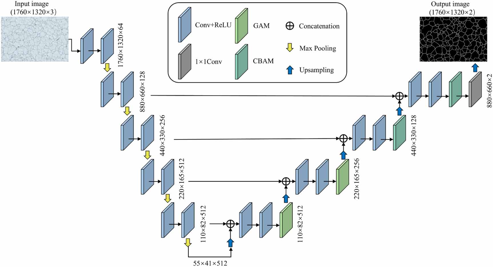 Grain size measurement based on a multi-supervised segmentation network ...
