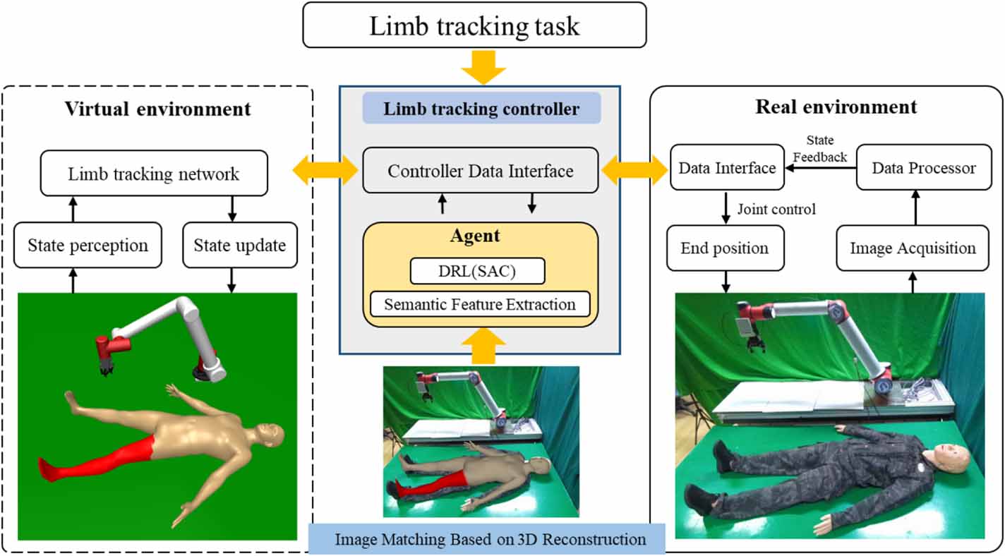 Dynamic robotic tracking of human limbs using vision-based ...