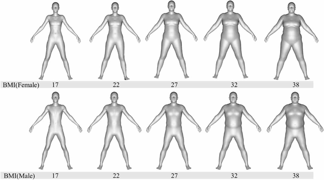 Dynamic robotic tracking of human limbs using vision-based ...