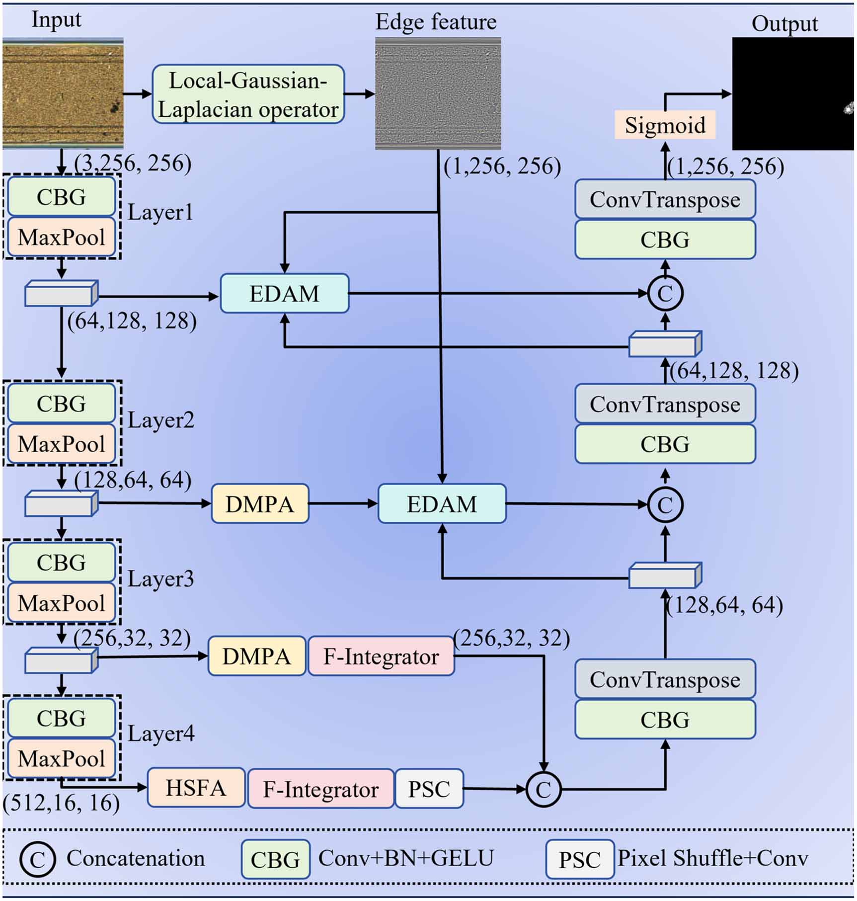 High-frequency semantic hierarchical dynamic feature fusion network for ...