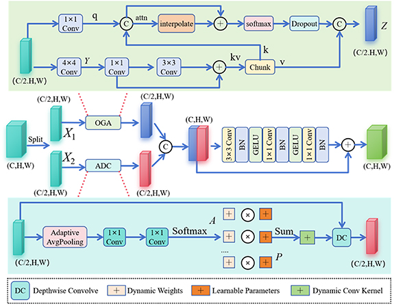 High-frequency semantic hierarchical dynamic feature fusion network for ...