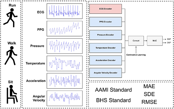 Cuffless blood pressure estimation from six wearable sensor modalities ...