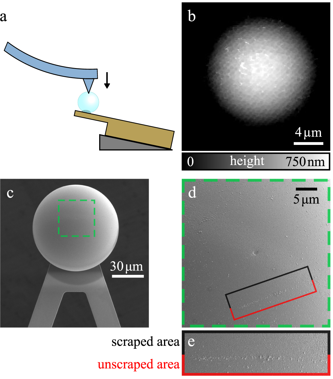 Method Colloidal Iron A simple mechanical cleaning method for colloidal probes - IOPscience