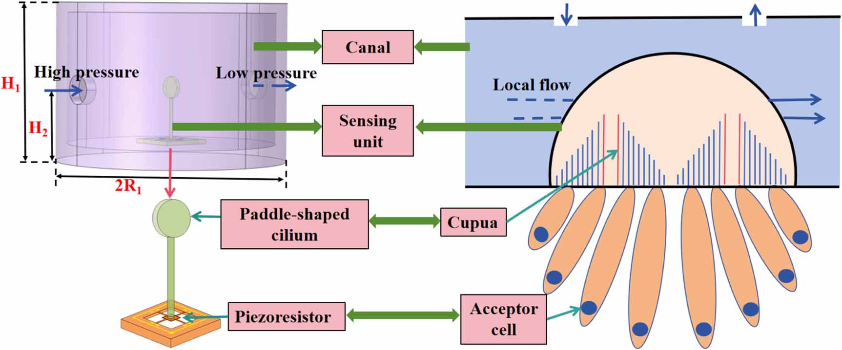 Research on MEMS differential pressure sensors based on the fish ...