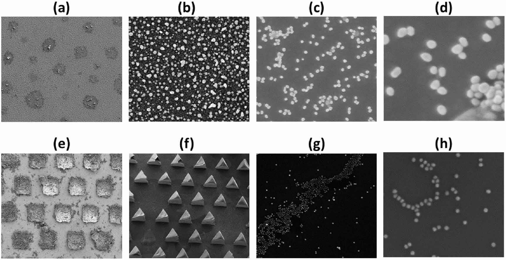 Ppoint Pattern Measurement and analysis of point patterns in materials science ...