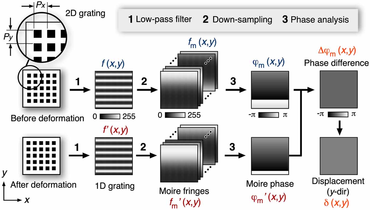A guide to marker design for long-term displacement measurement in ...