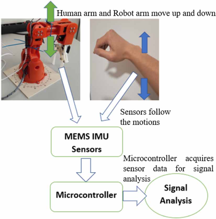 Motion difference analysis between robot arm and human arm by human ...