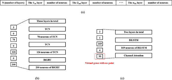 Evo-NAS: an evolutionary neural architecture search framework for ...