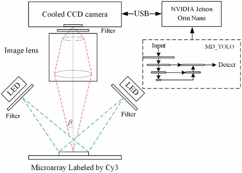 A novel microarray detection method based on deep learning with edge ...