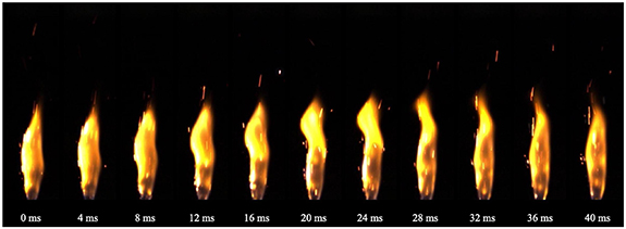 Halogen Burn Suitability of halogen and LED light bulbs as reference sources for ...