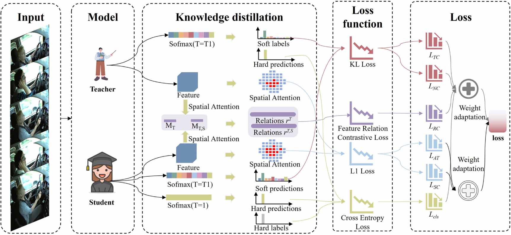 Enhancing lightweight distracted driving behavior detection ...