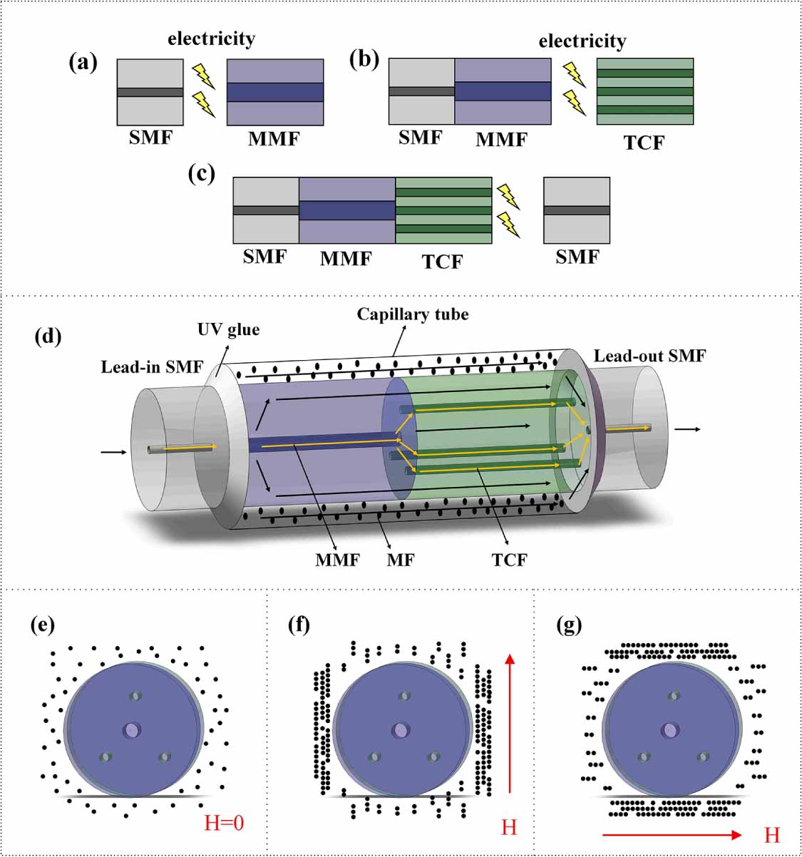 High sensitivity vector magnetic field sensor based on magnetic fluid ...