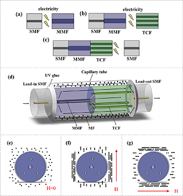 High sensitivity vector magnetic field sensor based on magnetic fluid ...