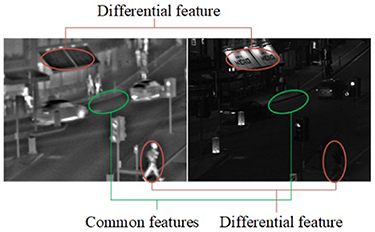 An infrared and visible image fusion network based on dynamic weight ...