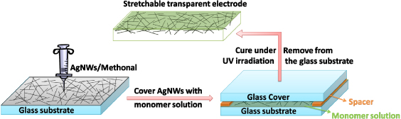 Intrinsically stretchable transparent electrodes based on silver ...